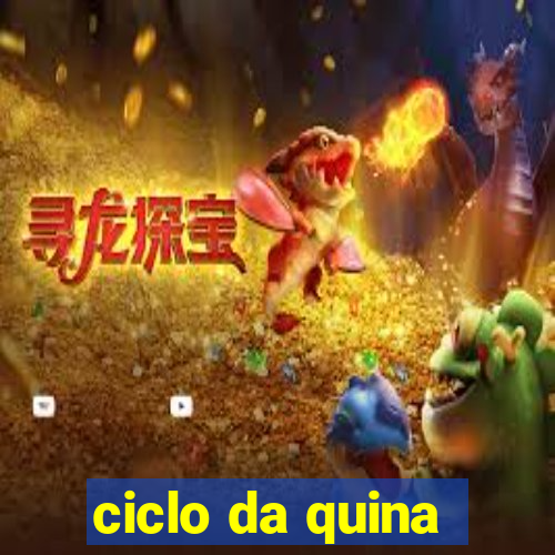 ciclo da quina